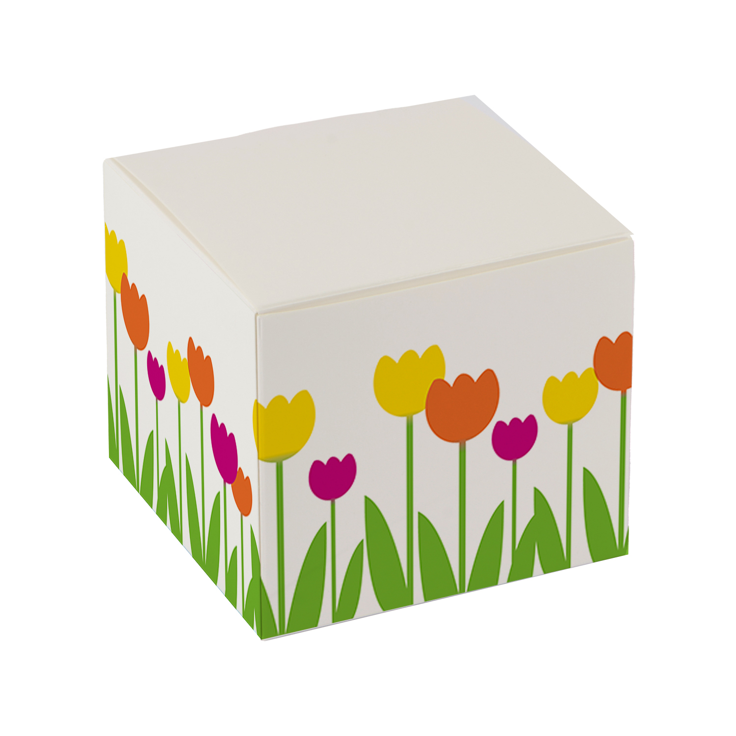 Afbeelding van Ds à 50 kubus klepdoosje 500 gram Voorjaar