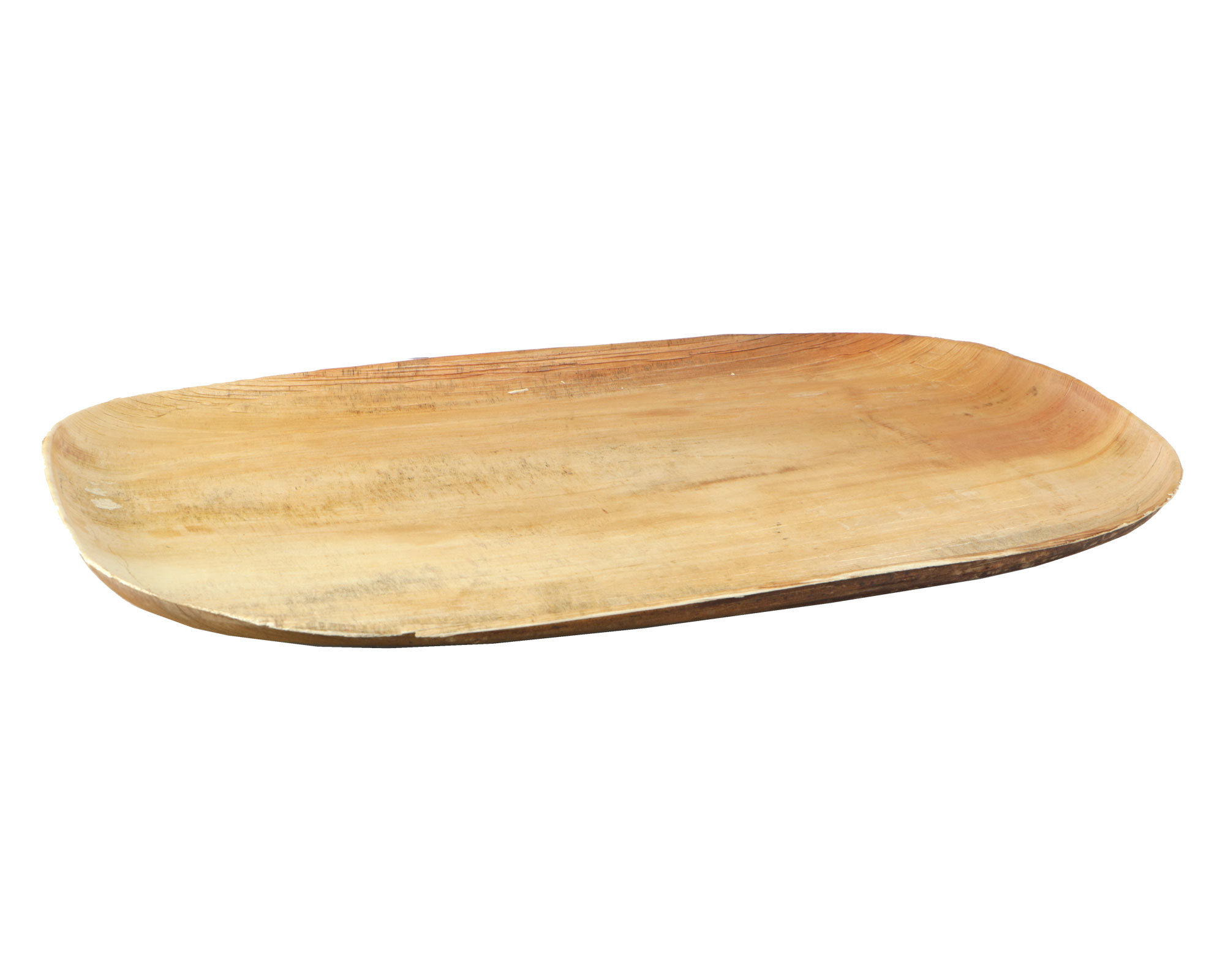 Picture of Pak à 5 caterwareschaal Palm 55x36x2,5 cm 