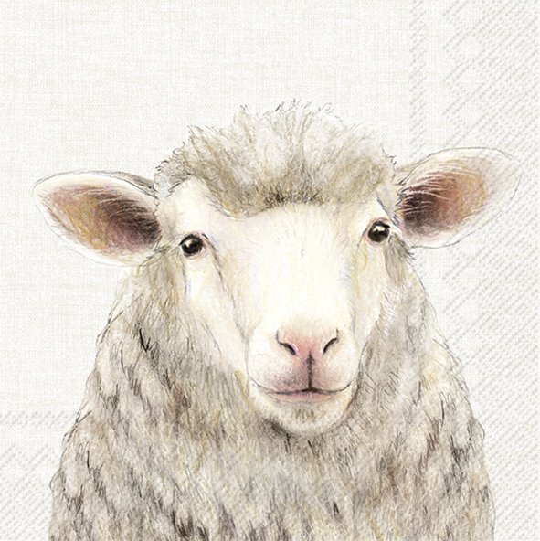 Picture of Pak à 20 servetten 33x33 cm 3 laags schaap