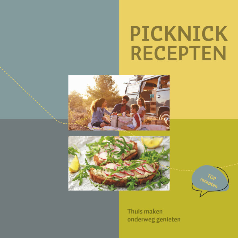 Afbeelding van Boekje 15x15 cm 32 blz Picknick recepten (uc)
