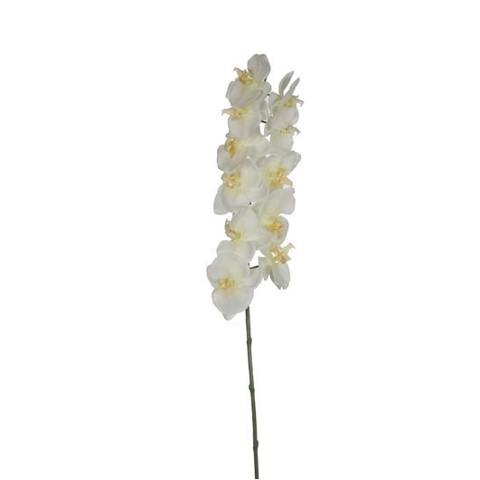 Picture of Decoratietak vlinderorchidee creme 100 cm (uc)