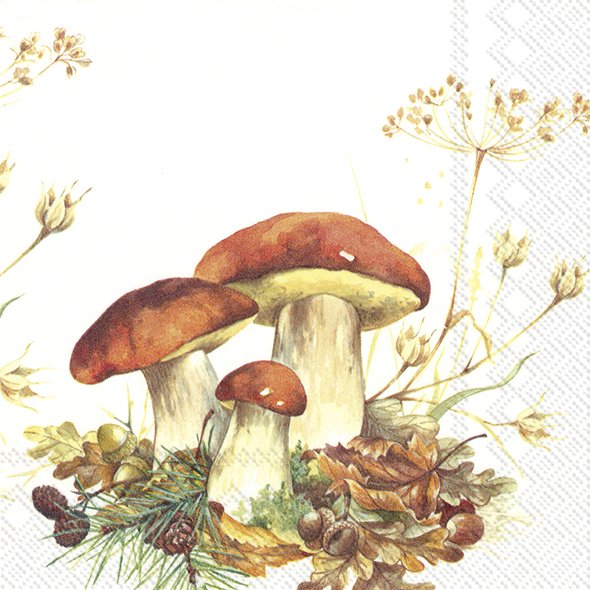 Picture of Pak à 20 servetten 33x33 cm 3 laags Paddenstoelen