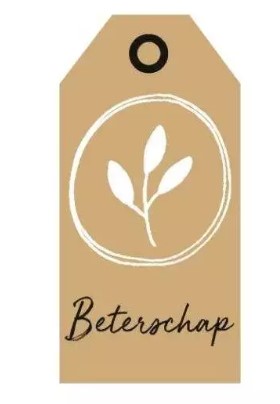 Afbeelding van Pak à 20 kadokaartjes 5x10 cm Beterschap