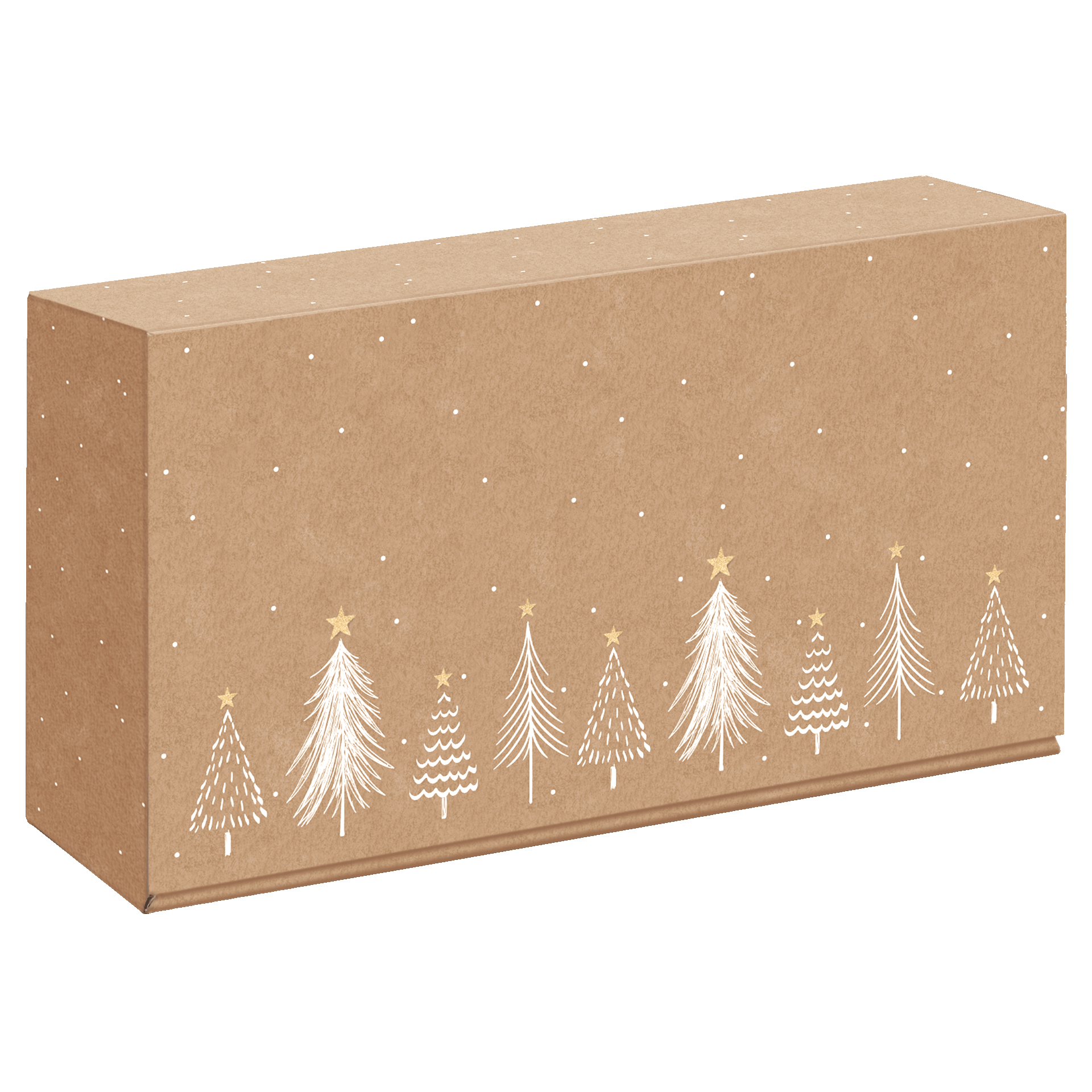 Afbeelding van Ds à 25 geschenkdoos 2 fles 36x19,2x9,5 cm Modern Christmas Natura