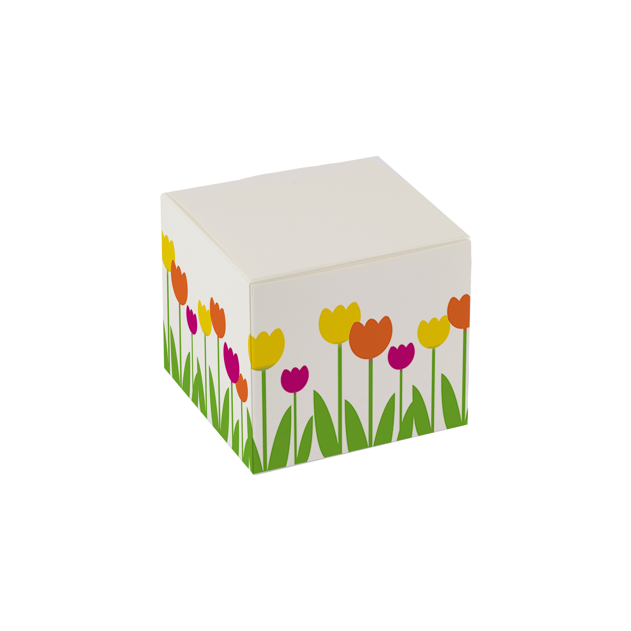 Afbeelding van Ds à 50 kubus klepdoosje 250 gram Voorjaar