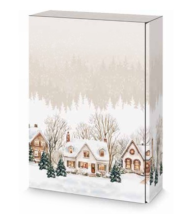 Afbeelding van Ds à 25 geschenkdoos 3 fles 36x25x9,5 cm Winterdorp