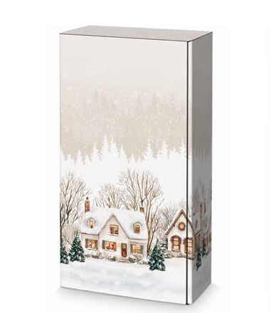Afbeelding van Ds à 25 geschenkdoos 2 fles 36x18,5x9,5 cm Winterdorp