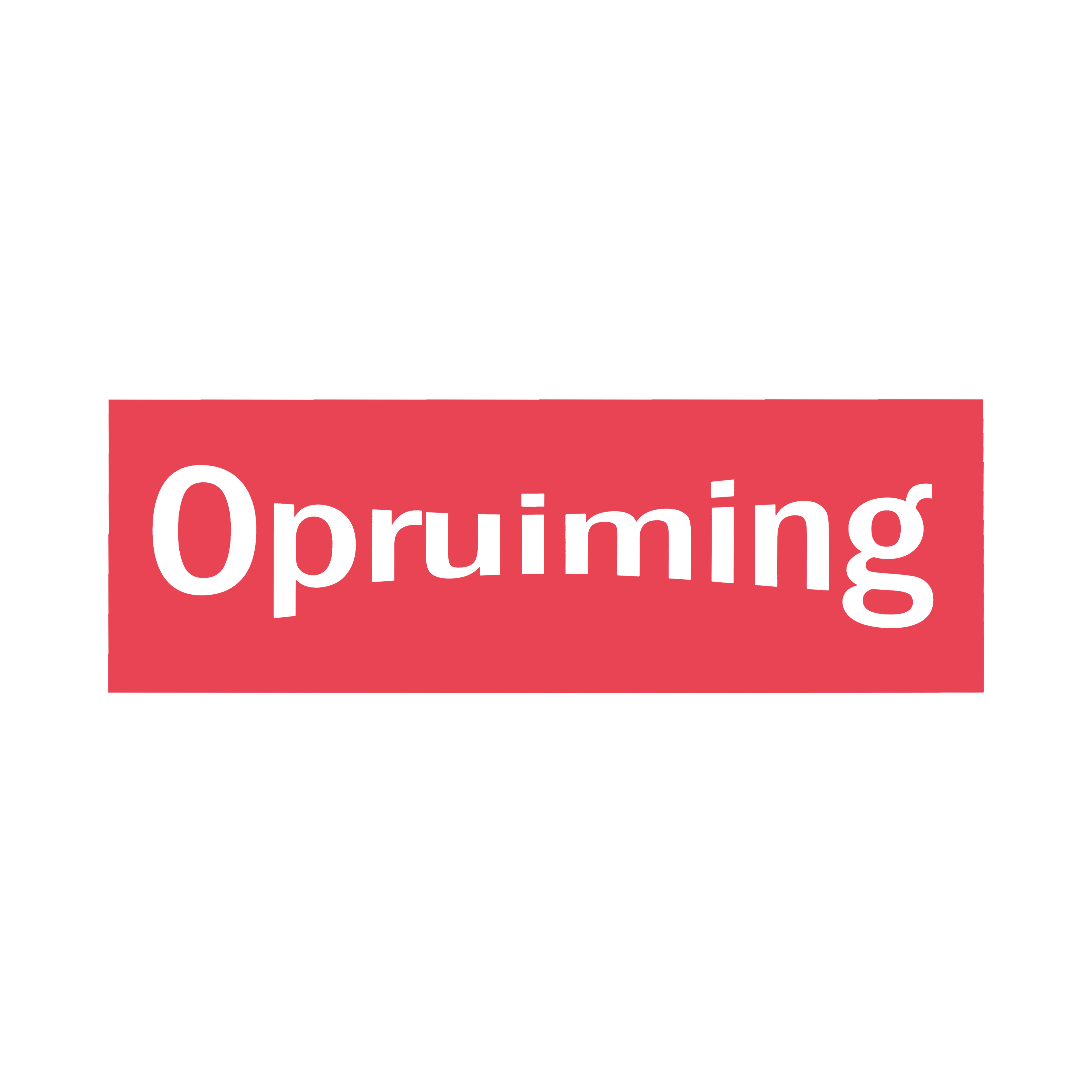 Afbeelding van Raambiljet opruiming rood/wit 24x70 cm 