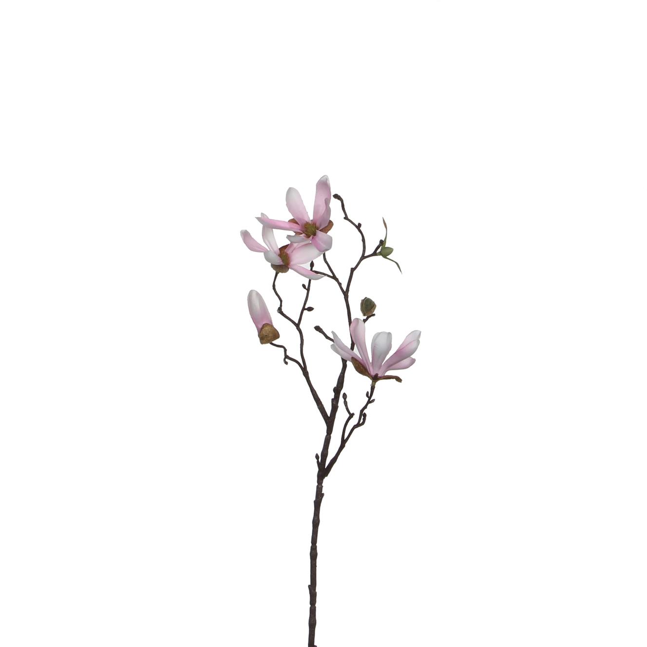 Afbeelding van Decoratietak magnolia roze 45 cm (uc)