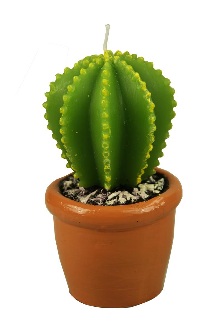 Afbeelding van Cactus kaars 6,5x12 cm (ACTIEprijs op=op)
