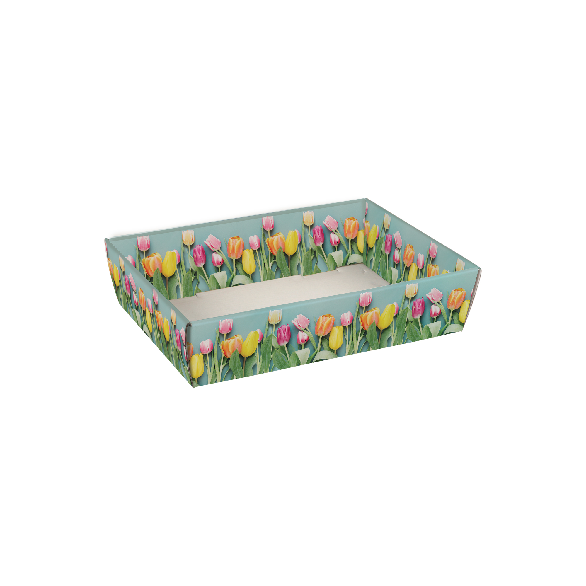 Afbeelding van Ds à 25 kartonnen bak 23x16x5,8 cm Tulpen