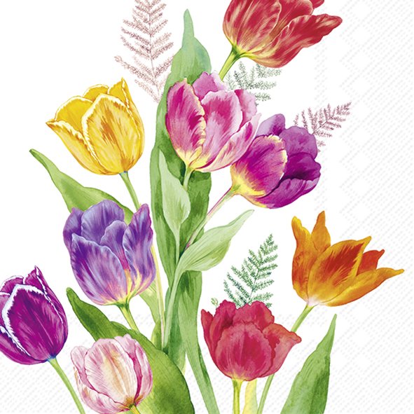 Afbeelding van Pak à 20 servetten 33x33 cm 3 laags tulpen