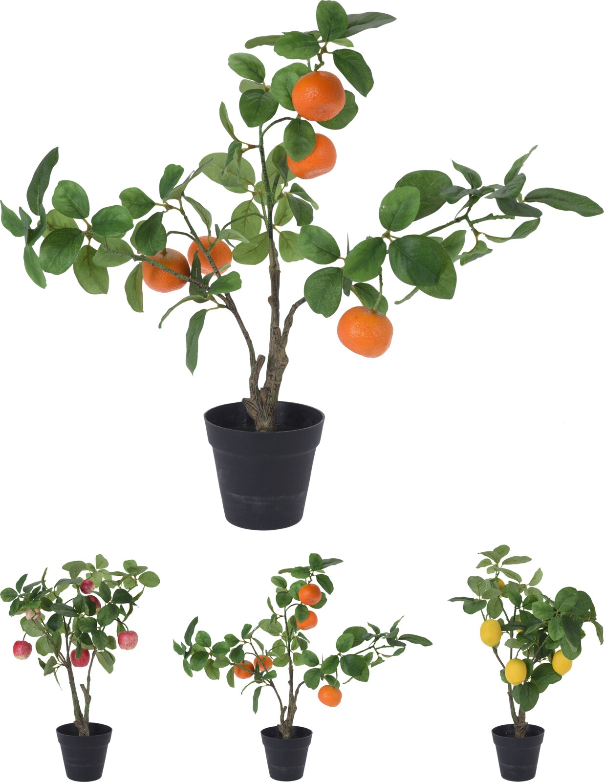 Afbeelding van Fruitboom in pot 60 cm assorti