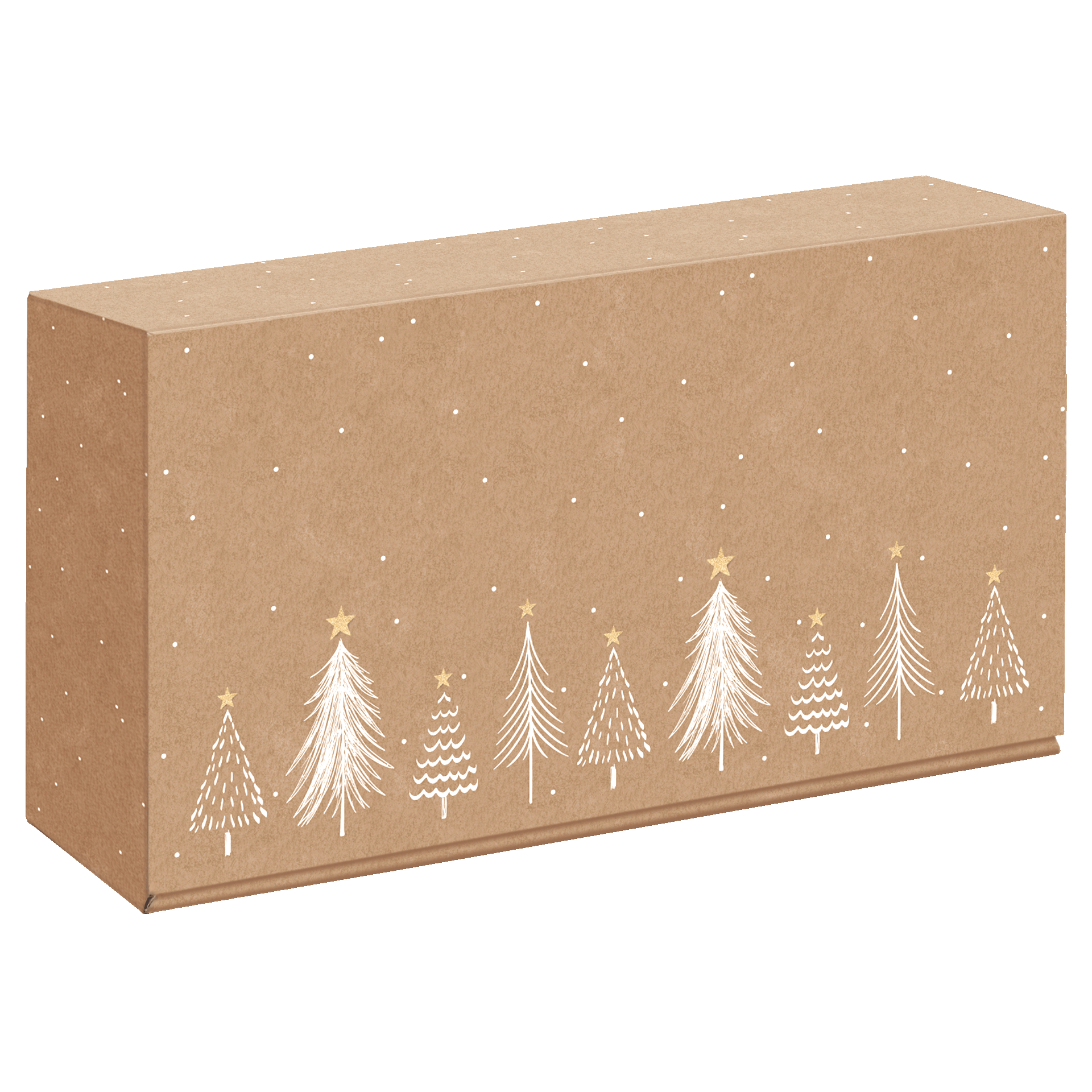 Afbeelding van Ds à 25 geschenkdoos 2 fles 36x19,2x9,5 cm Modern Christmas Natura 