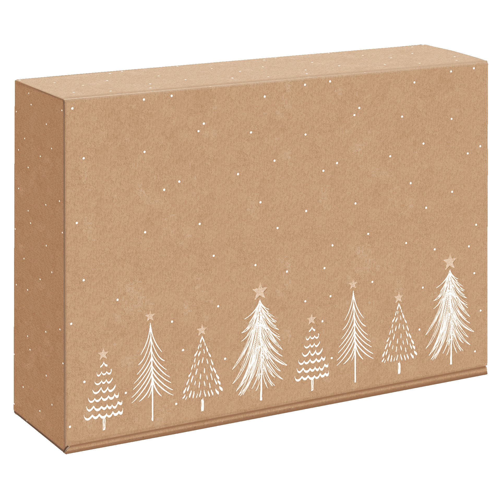 Afbeelding van Ds à 25 geschenkdoos 3 fles 36x25x9,5 cm Modern Christmas Natura