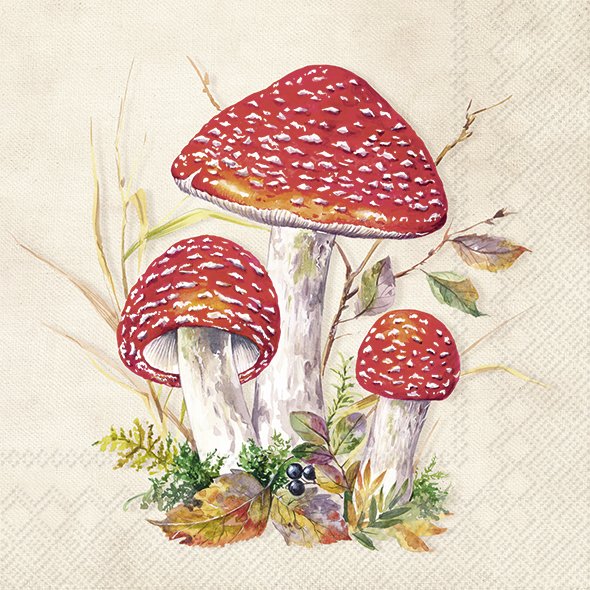 Afbeelding van Pak à 20 servetten 33x33 cm 3 laags Rode Paddenstoel