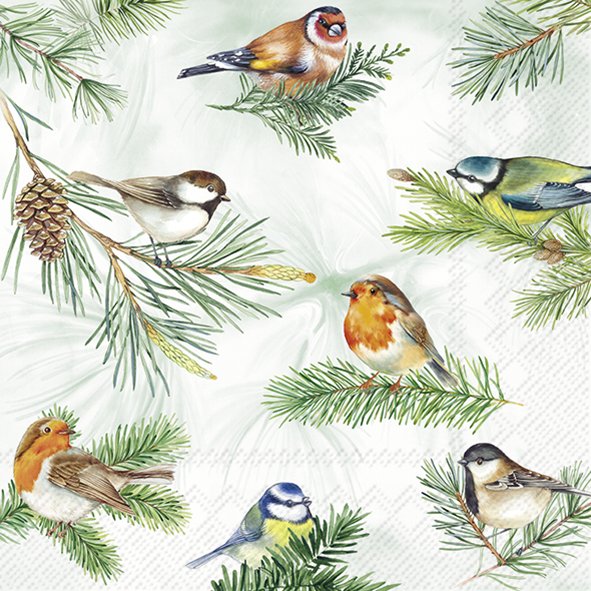 Afbeelding van Pak à 12 servetten 33x33 cm 3 laags Vogels