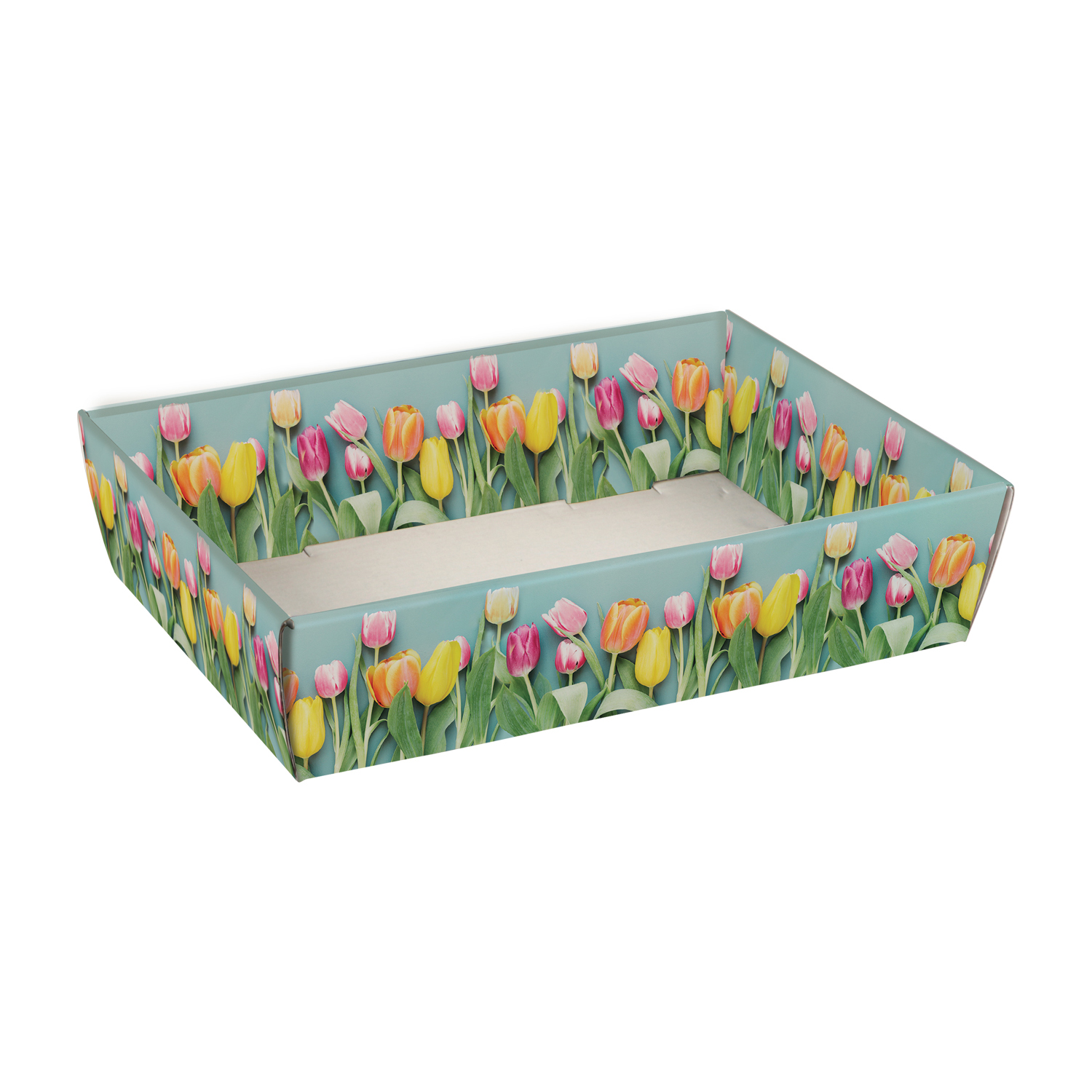 Picture of Ds à 25 kartonnen bak 23x16x5,8 cm Tulpen