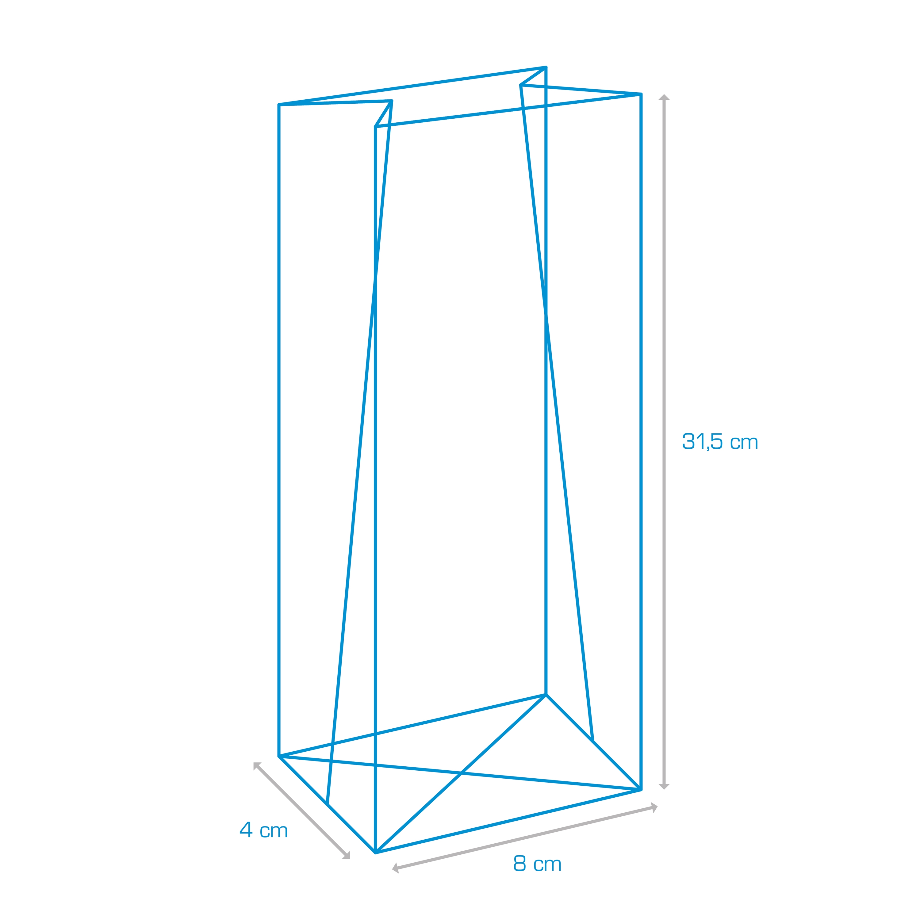 Picture of Pak à 100 blokbodemzak 8+4x31,5 cm 40 my  (7)