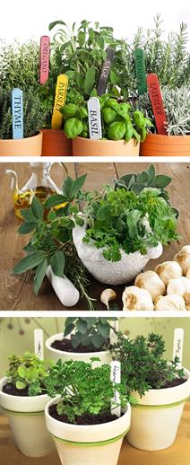 Afbeeldingen van Banier 75x180 cm Dille (uc)