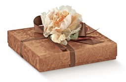 Afbeeldingen van Pak à 10 bonbondoos 4 vaks koper (uc)