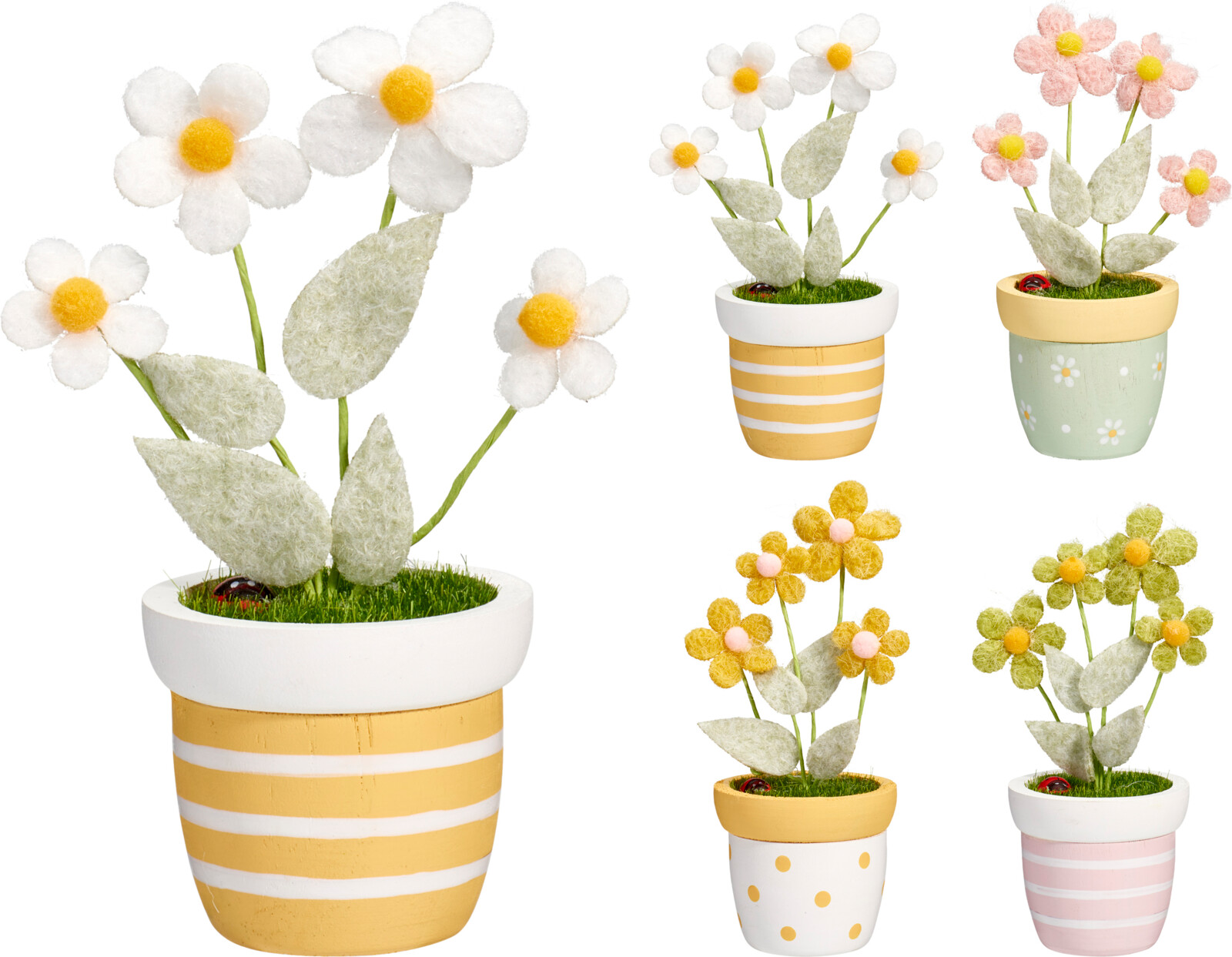Afbeeldingen van Bloem in pot 14 cm vilt assorti