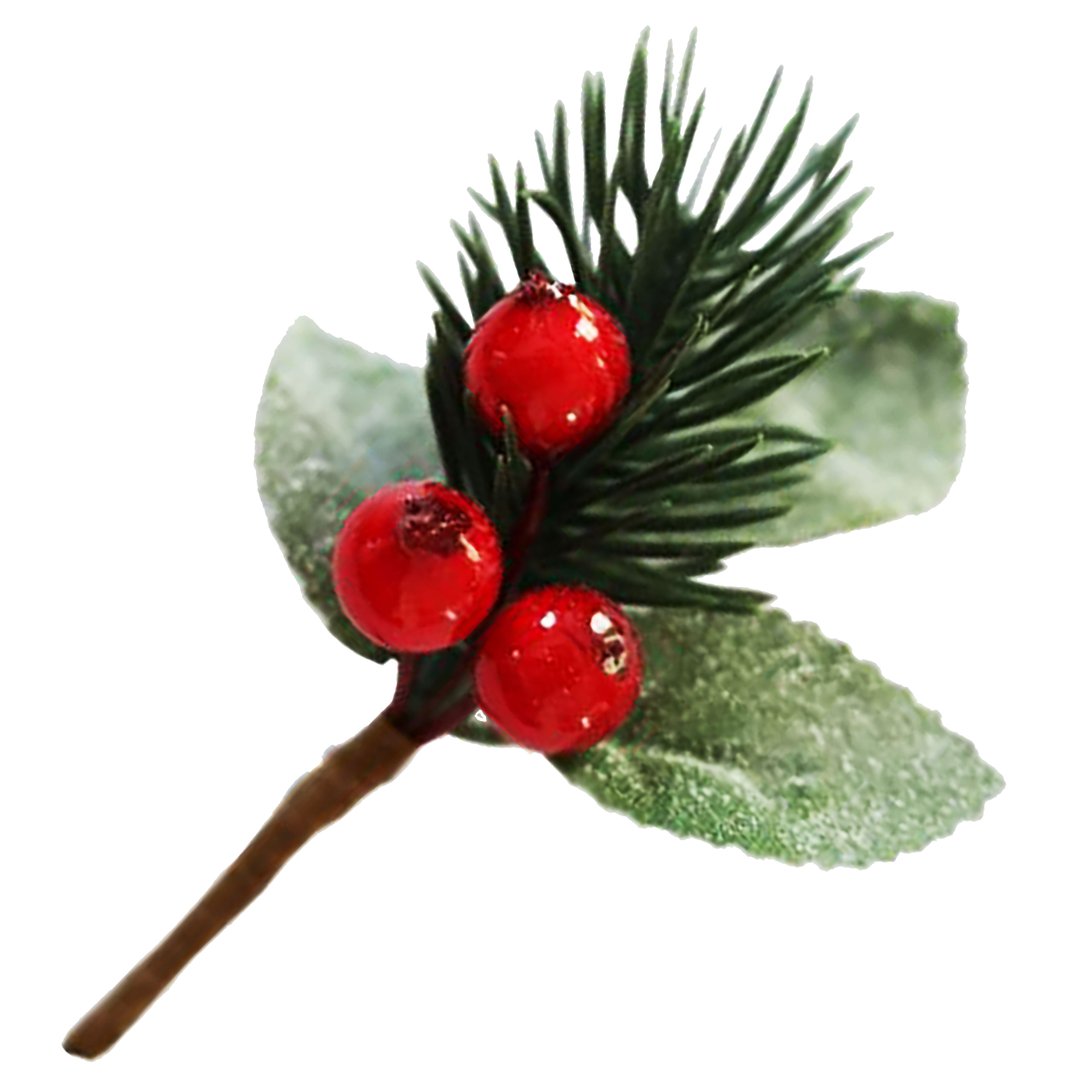 Afbeeldingen van Ds à 72 hulsttakje met 3 besjes 8 cm