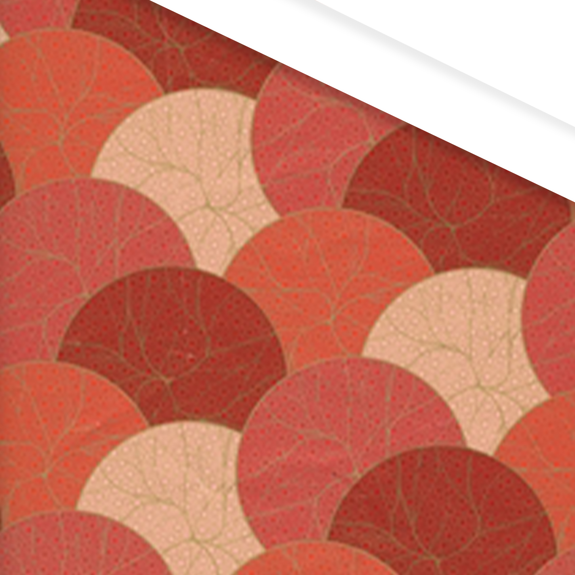 Afbeeldingen van Rol kadopapier 50 cm 100 mtr bollen rood tinten