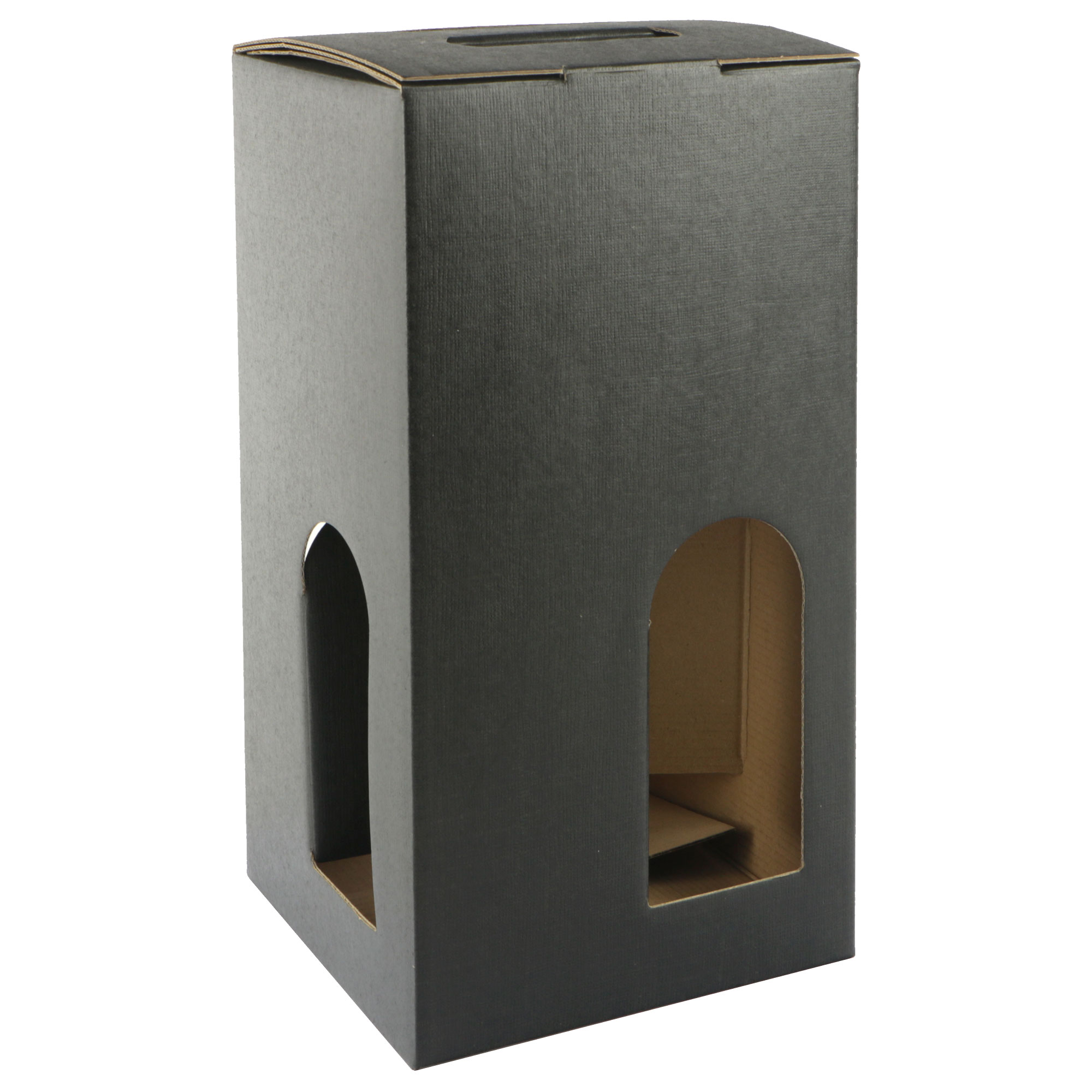 Picture of Ds à 20 draagdoos 4 fles 18x18x34 cm zwart