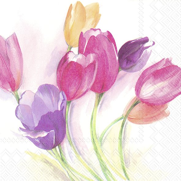 Afbeeldingen van Pak à 20 servetten 33x33 cm Tulpen 