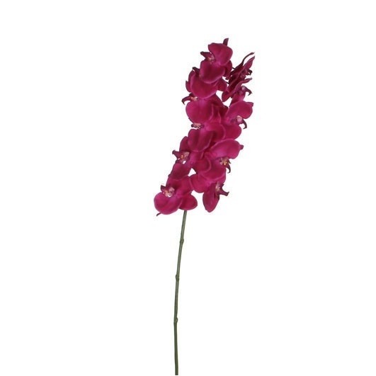 Afbeeldingen van Decoratietak vlinderorchidee paars 100 cm (uc)