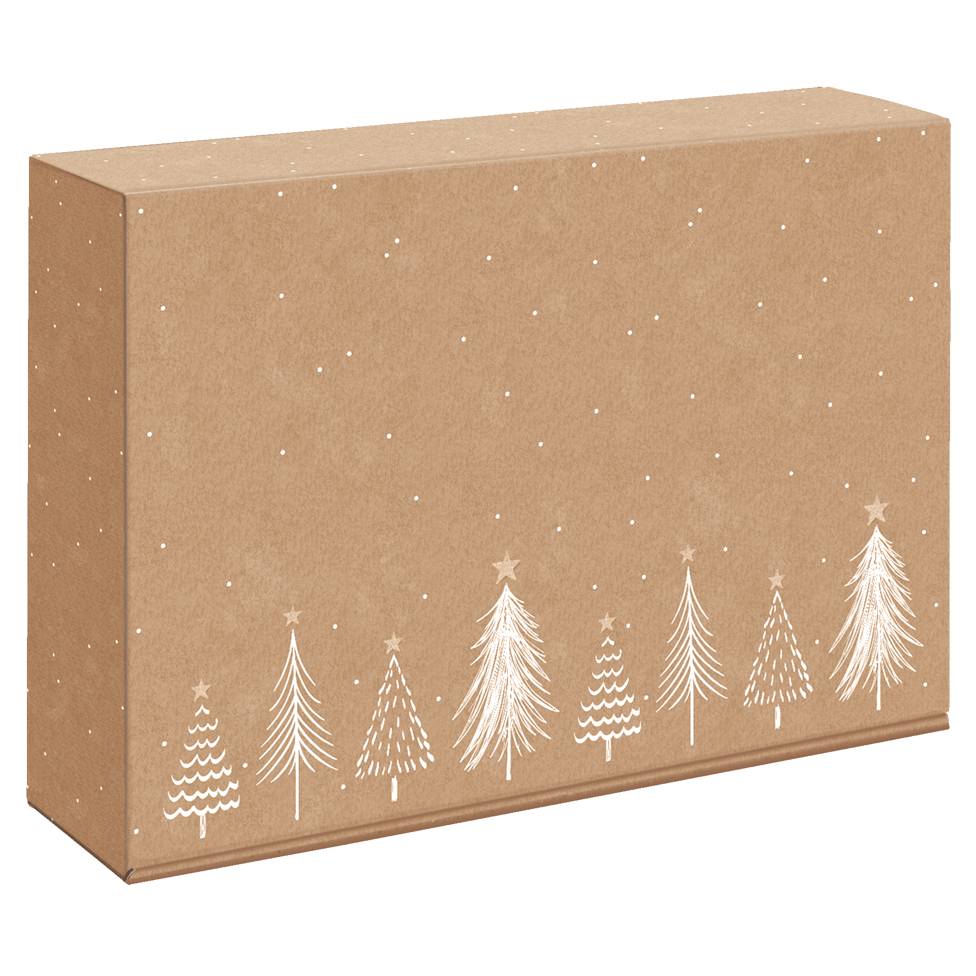 Afbeeldingen van Ds à 25 geschenkdoos 3 fles 36x25x9,5 cm Modern Christmas Natura