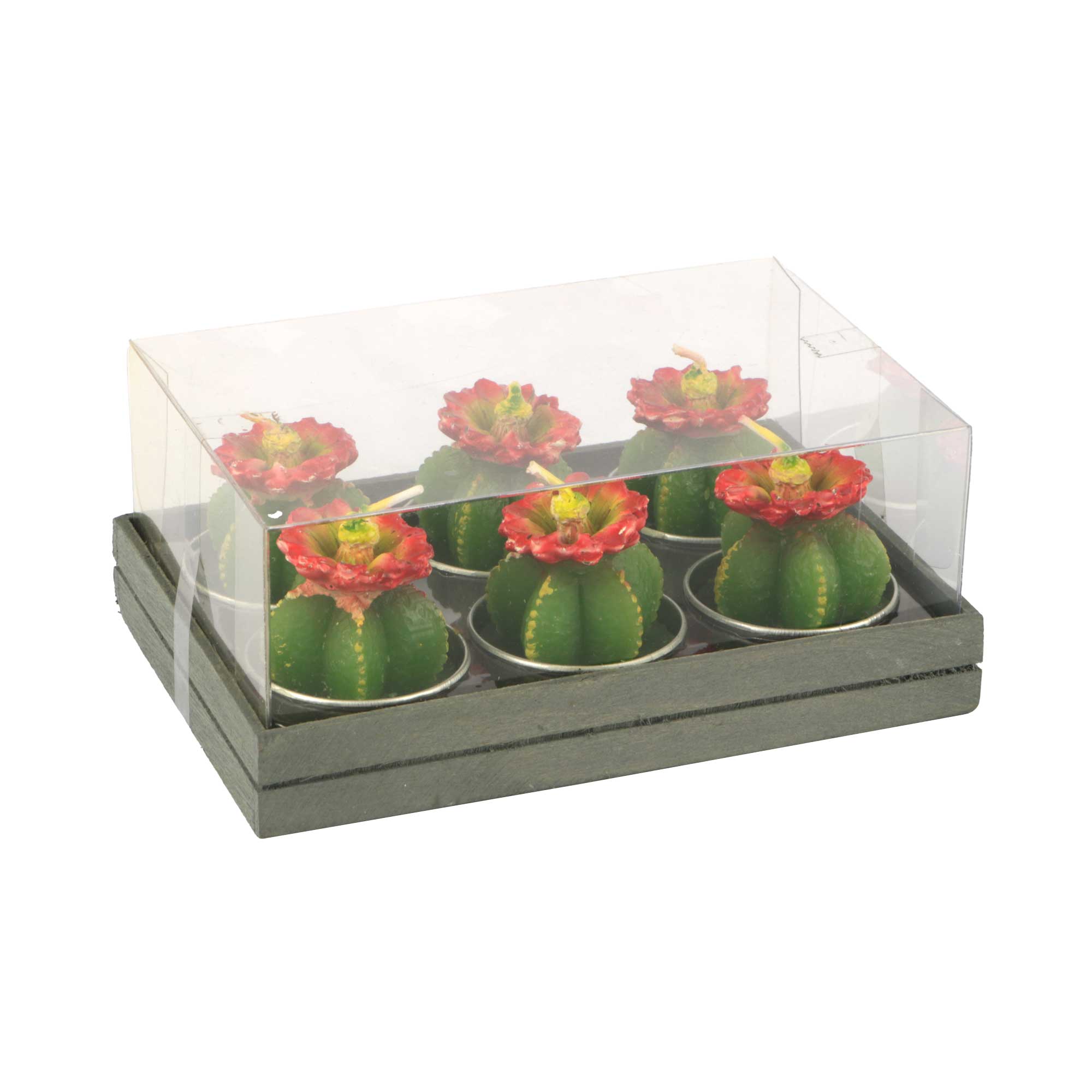 Afbeeldingen van Set à 6 cactuskaarsjes met bloem