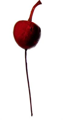 Afbeeldingen van Ds à 100 decoratie kersen, 2,5 cm op steekdraad (ucl)
