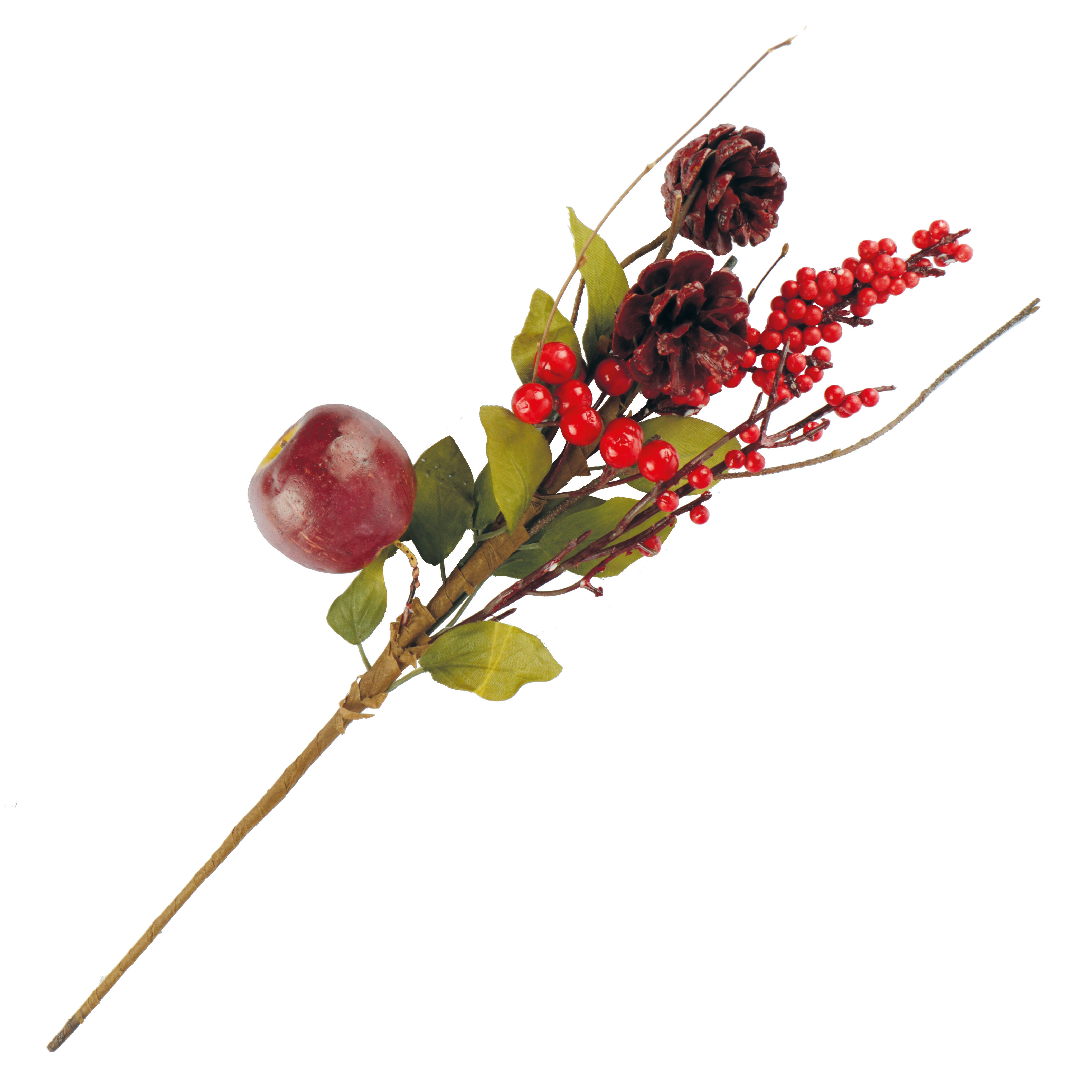 Afbeeldingen van Tak 55 cm met natuurdeco