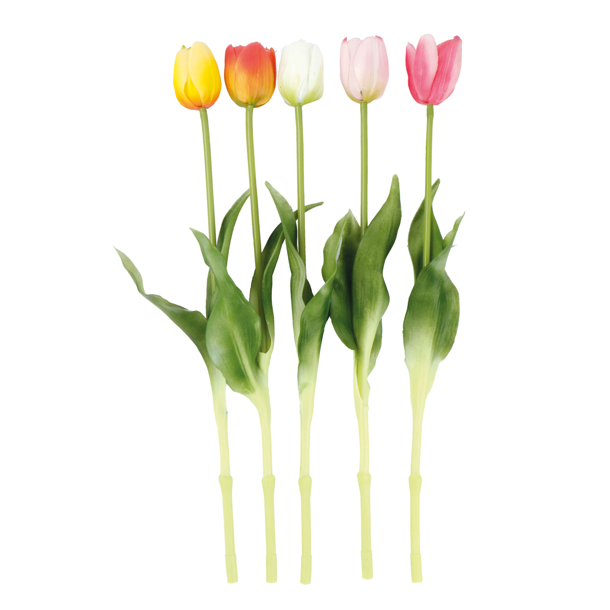 Afbeeldingen van Tulp 40 cm assorti kleuren 