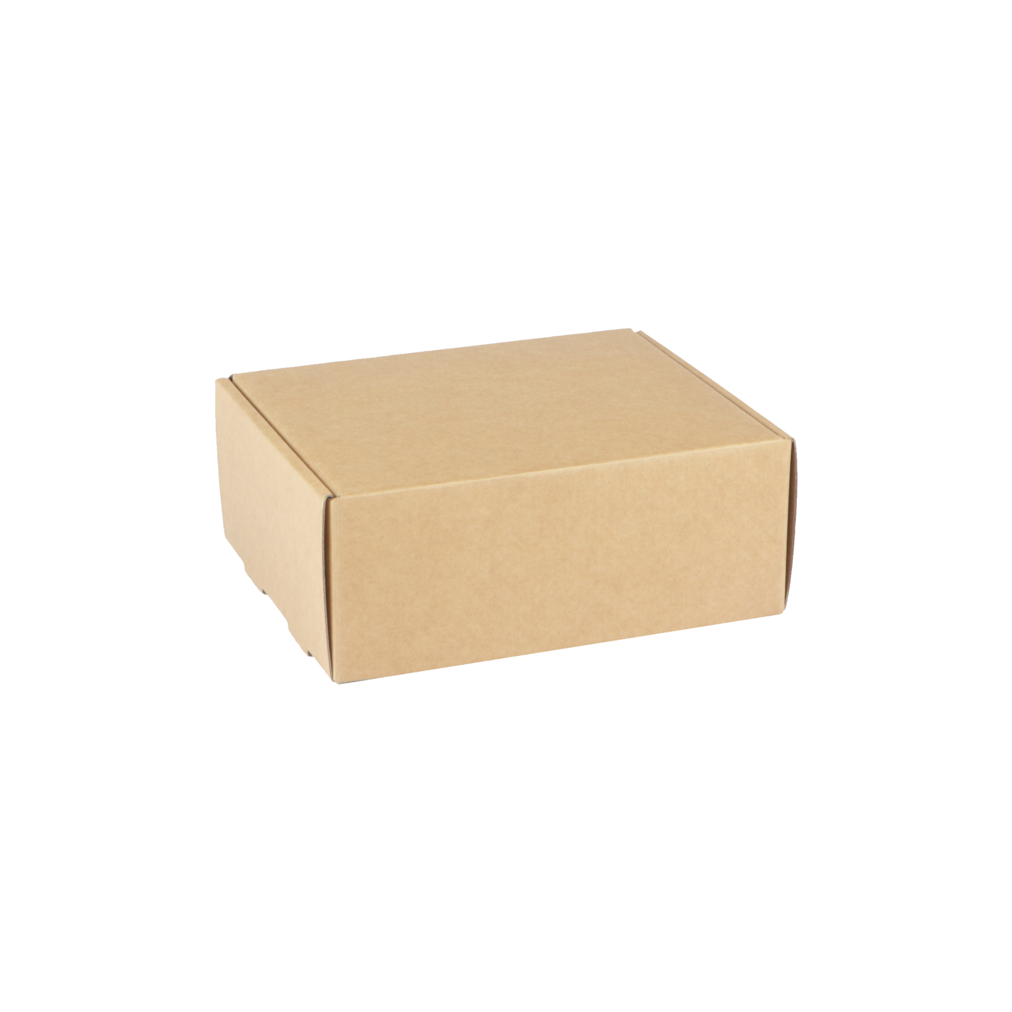 Afbeeldingen van Pak à 10 geschenk- verzenddoos 20,5x16x8 cm kraft