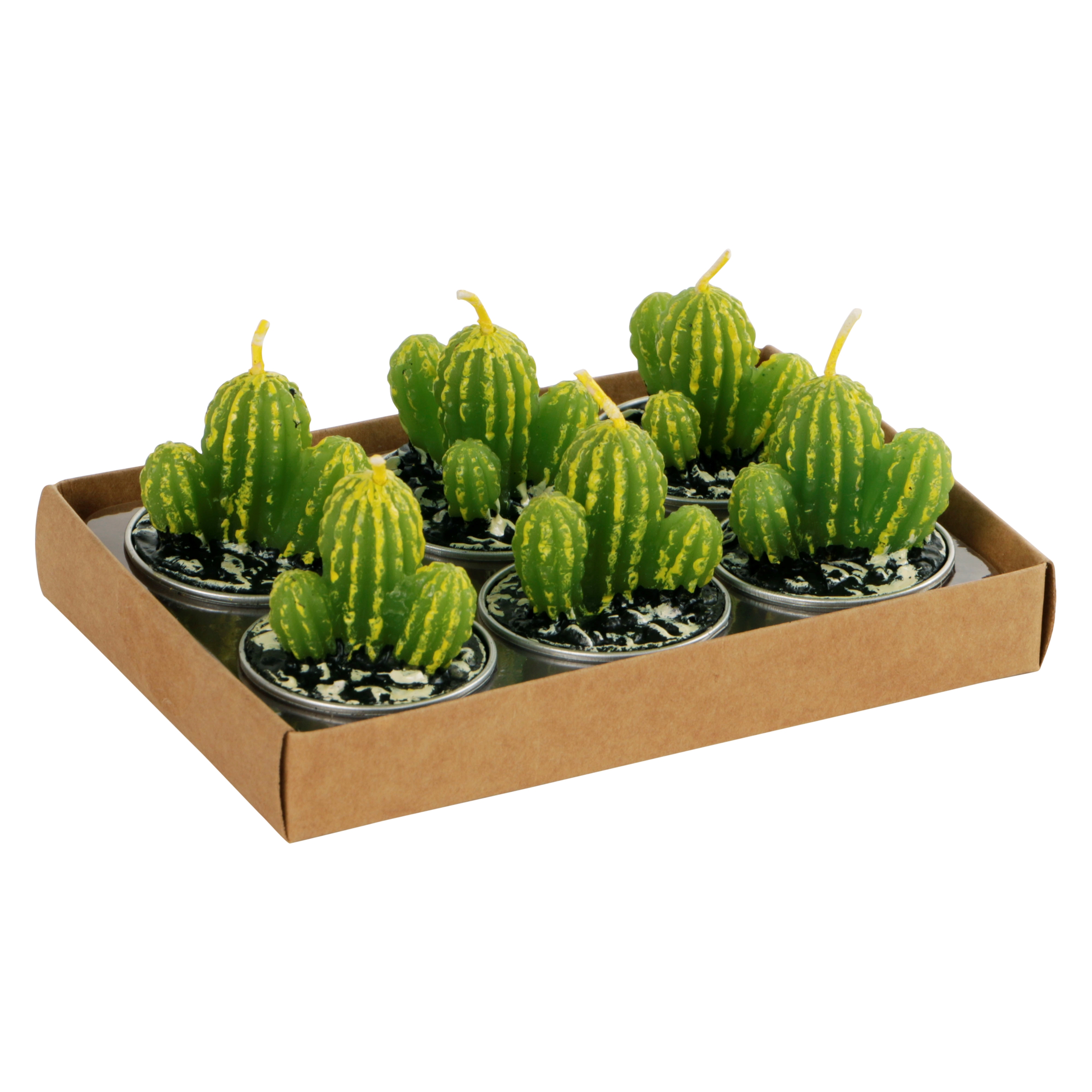 Afbeeldingen van Set à 6 cactus kaarsje 13,7x9,1x5 cm