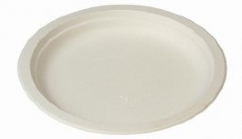 Afbeeldingen van Ds à 20x50 suikerriet bord 17cm (uc)