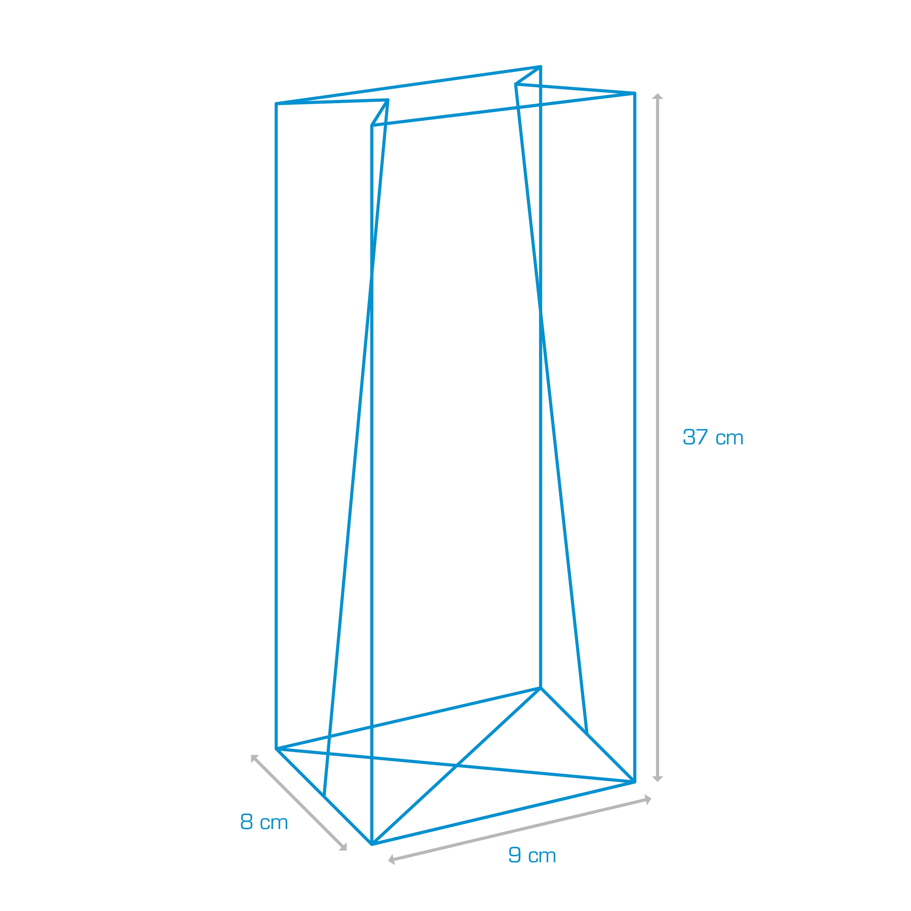 Afbeeldingen van Pak à 100 blokbodemzak 9+8x37 cm 40 my