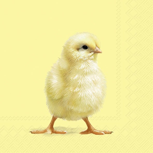 Afbeeldingen van Pak à 20 servetten 33x33 cm Kuiken geel 