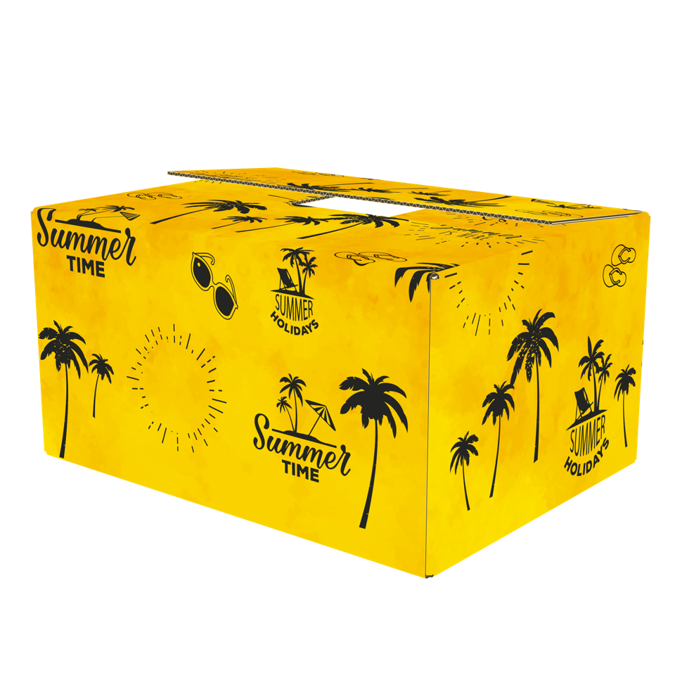 Afbeeldingen van Pakketdoos A140 31x20x14 cm Summertime (ucl)