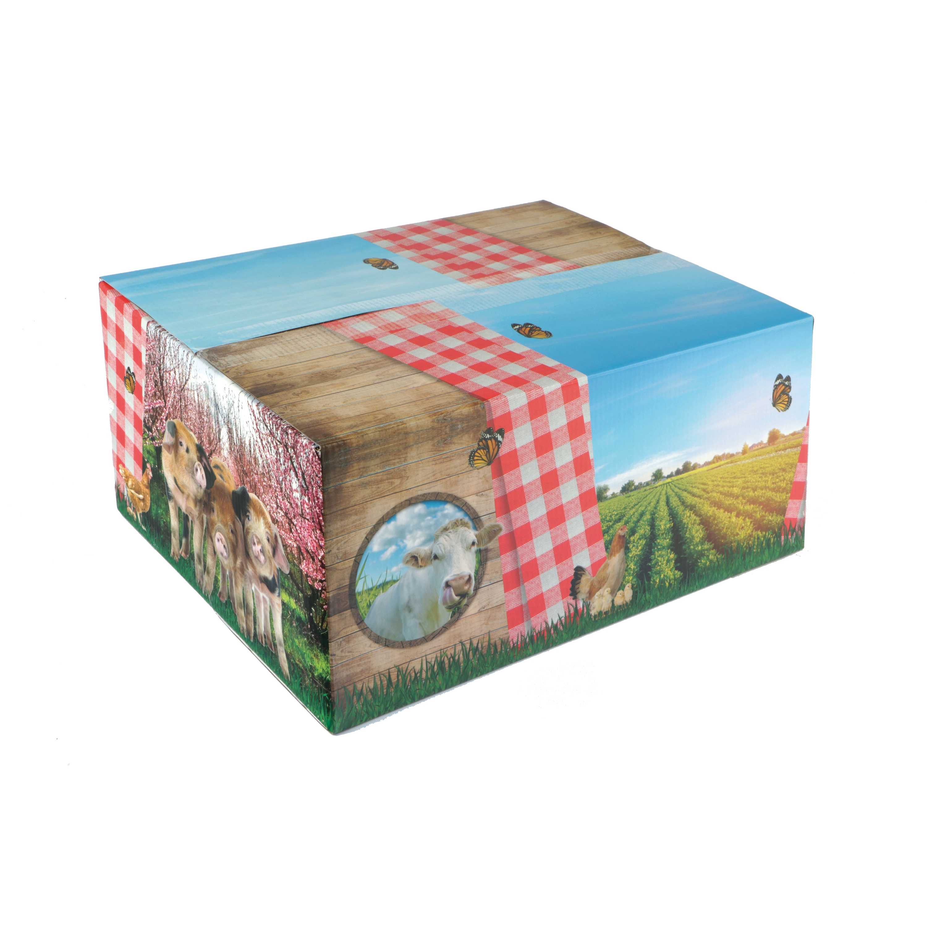 Afbeeldingen van Pakketdoos C177 Boerderij 39x29x17,7 cm  