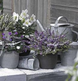 Afbeeldingen van Textielposter Joana 95x95 cm (uc)