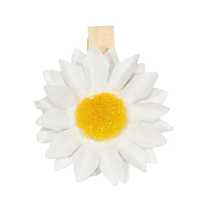 Afbeeldingen van Set à 6 madeliefje op knijper 3,5 cm