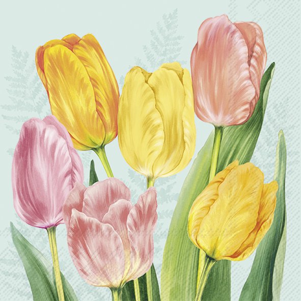 Afbeeldingen van Pak à 20 servetten 33x33 cm 3 laags Tulpen (ucl)