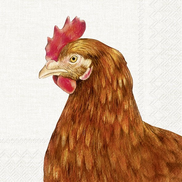 Afbeeldingen van Pak à 20 servetten 33x33 cm 3 laags Kip