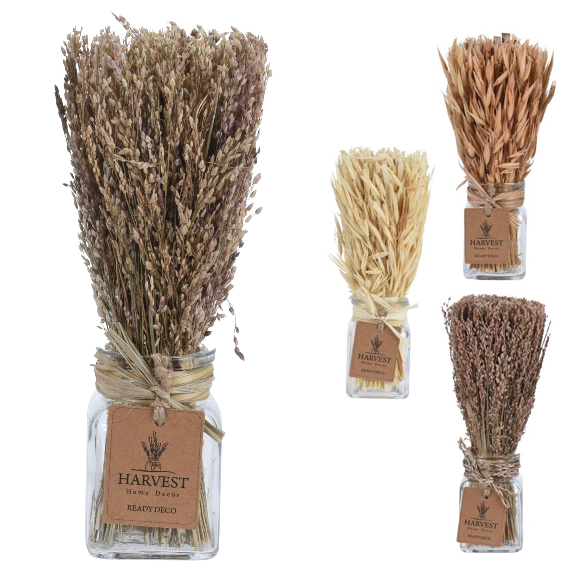 Afbeeldingen van Deco gras in glazen pot 7x7x22 cm assorti