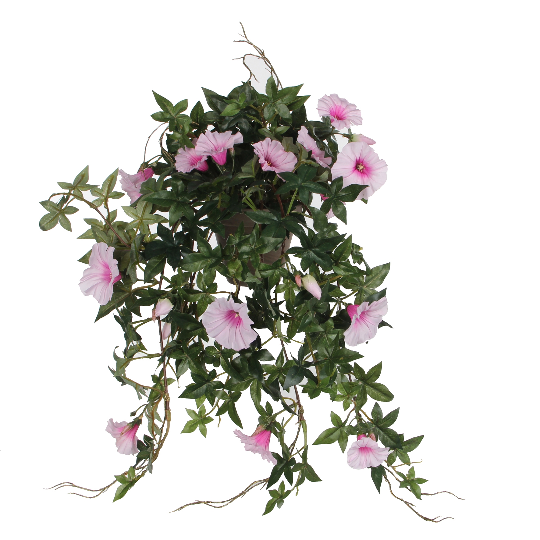 Afbeeldingen van Petunia in pot hangend roze 50x45x25 cm