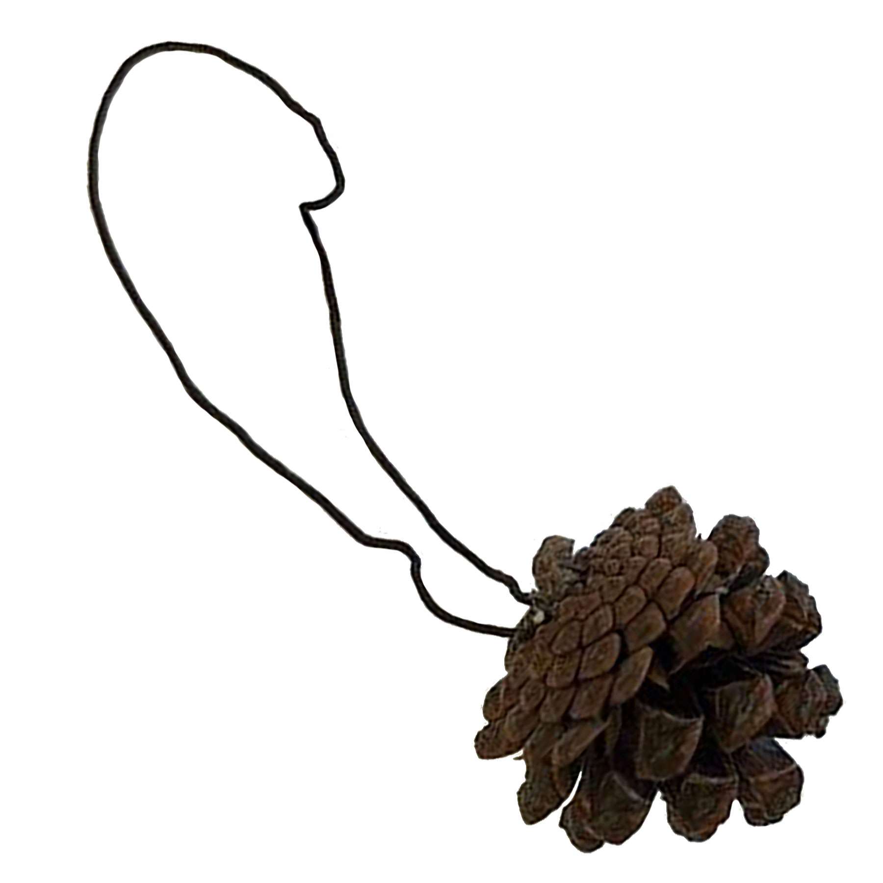Afbeeldingen van Ds à 50 dennenappel 4,5 cm aan koord